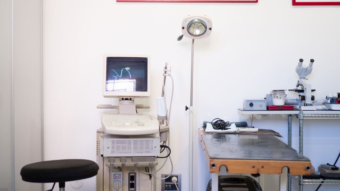 Descubre la Nueva Tecnología que Revoluciona las Clínicas Veterinarias