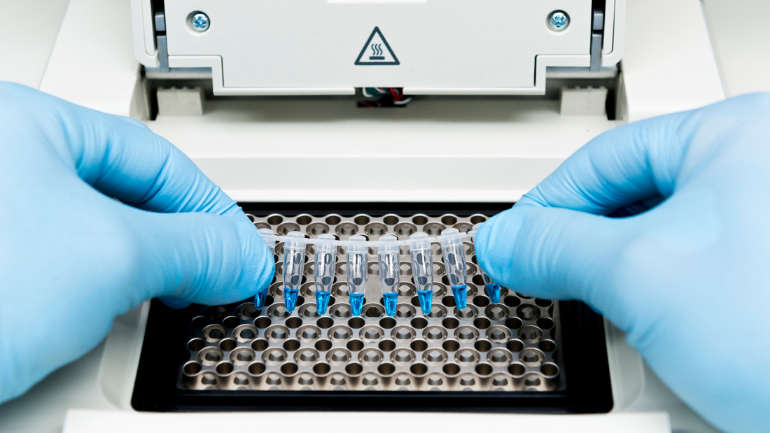 PCR en Tiempo Real vs PCR Isotérmico: ¿Qué opción es mejor en veterinaria?
