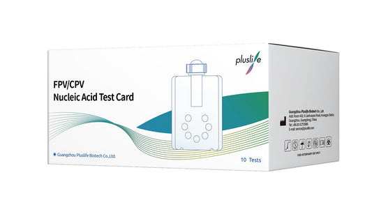 Prueba Molecular para Parvovirus Canino (FPV/CPV)