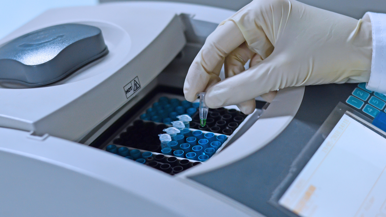 PCR en diagnóstico veterinario: Revolucionando la salud animal ...